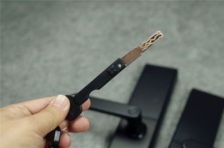 智能门锁新标杆 599元C级锁芯，五种开锁方式，价格屠夫与售后保障